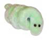 Lyme-Borreliose