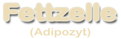 Fettzelle