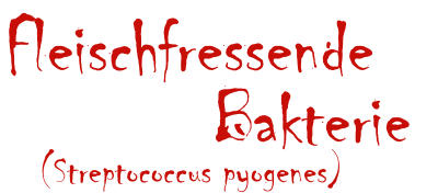 Fleischfressende Bakterie