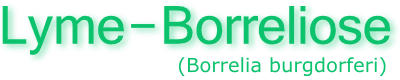 Lyme-Borreliose