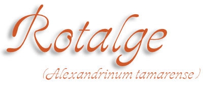 Rotalge